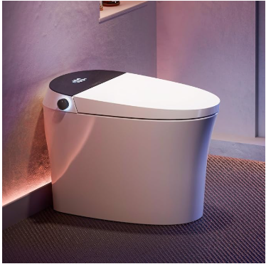 CANEST Smart Bidet Toilet