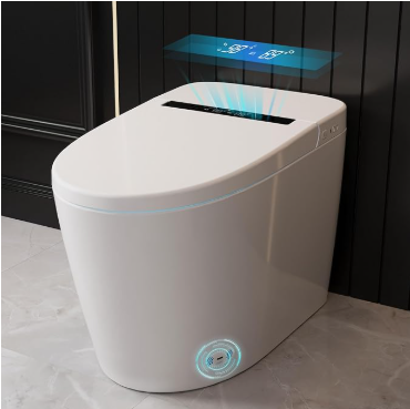 DeerValley Smart Bidet Toilet