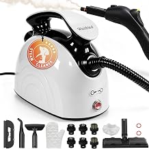 Waitbird 4.5 Bar 300°F Steam Cleaner